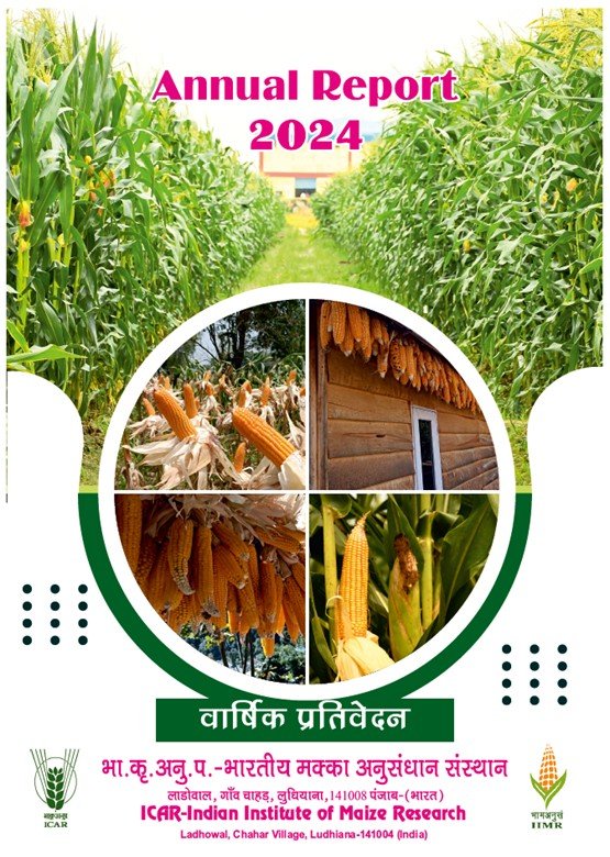 Annual Report-2024